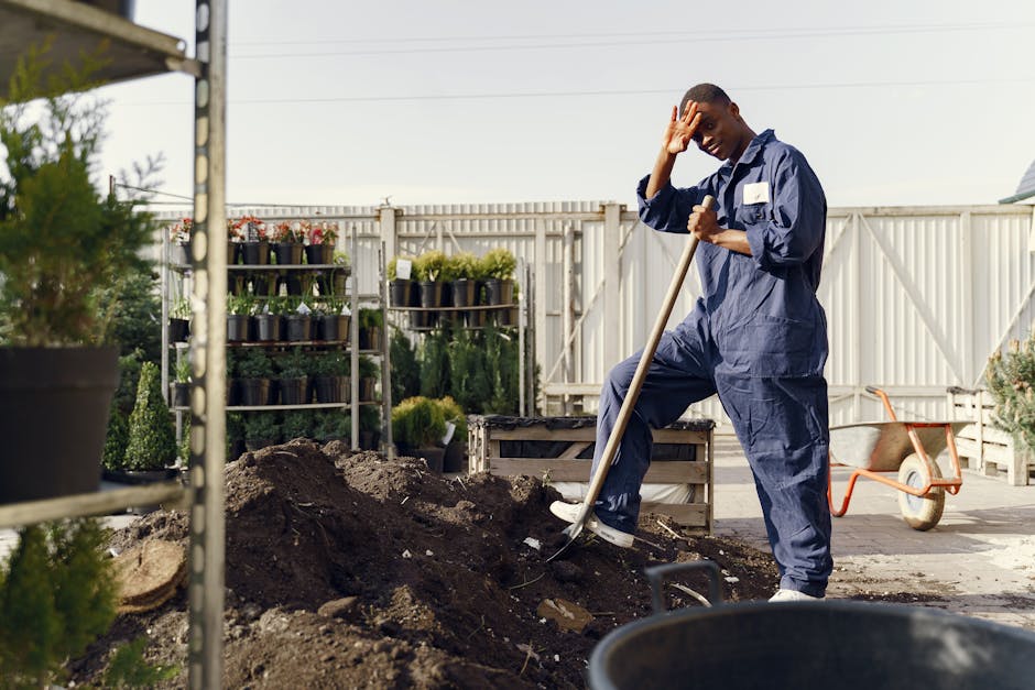 Preparing Your Garden or Site Before Digger Hire Arrives